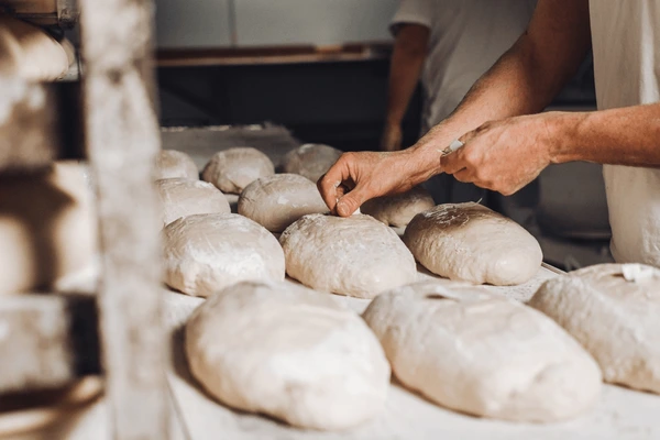 baking-bakery-enzymes-pakistan