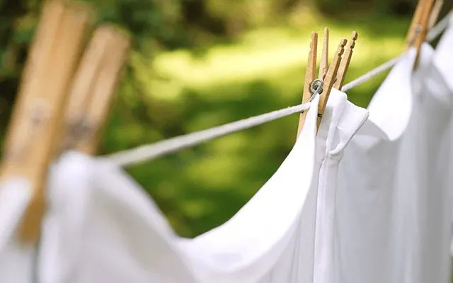 detergents-enzymes-pakistan